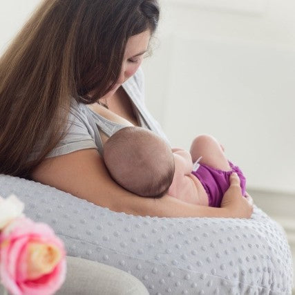 The Baby Buddy Nursing Pillow