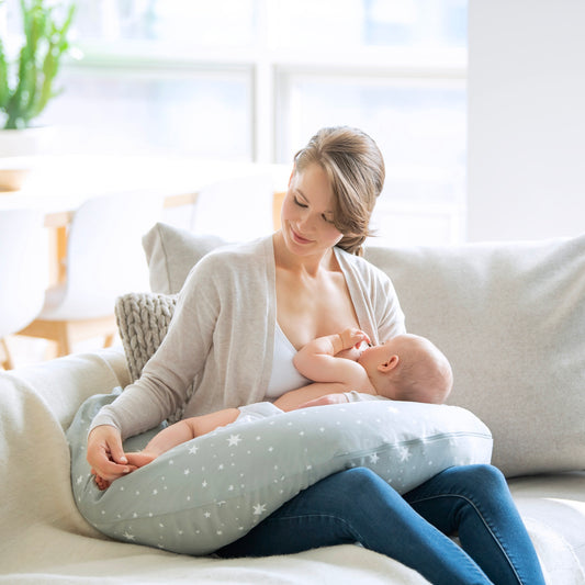 Medela Maternity & Nursing Pillow